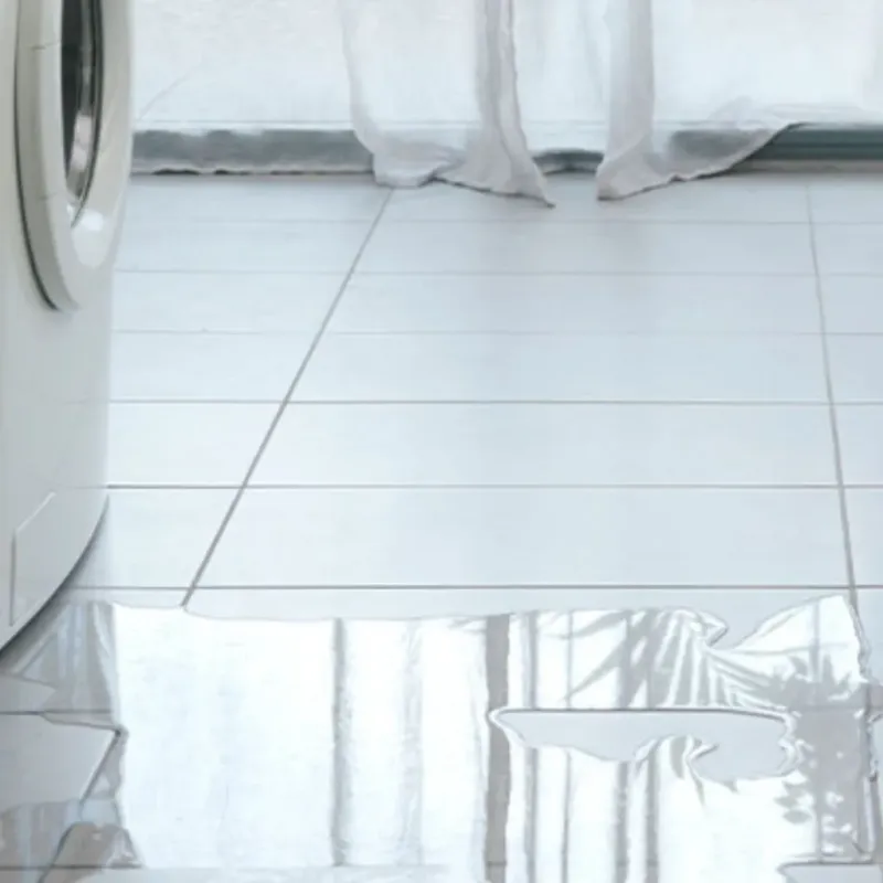 Appliance Leak Cleanup in Bluffton, OH