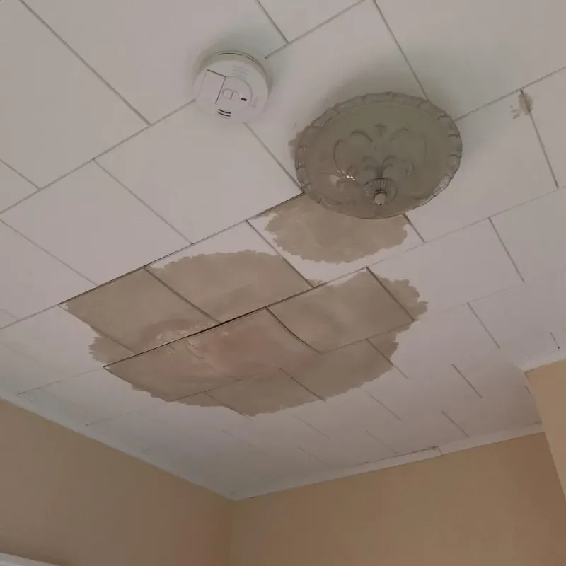 Ceiling Water Damage Repair in Bluffton, OH