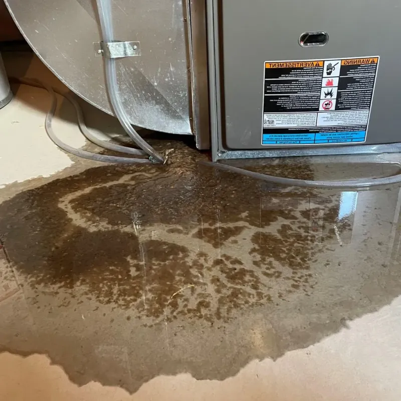 Pipe Burst and Leak Restoration in Bluffton, OH
