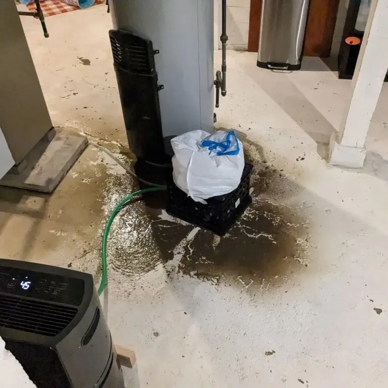 Sewage Backup Cleanup Service in Bluffton, OH
